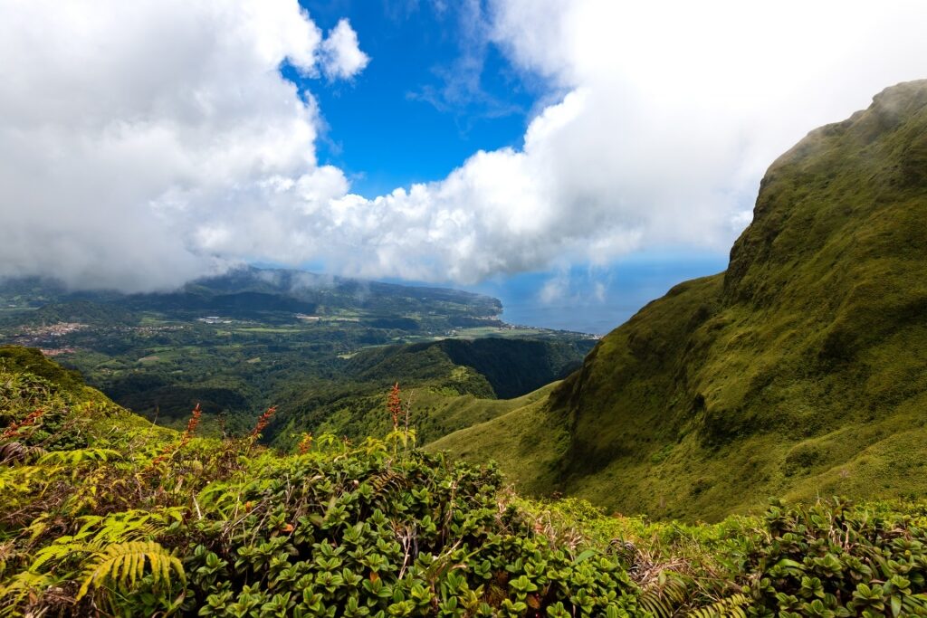 Hike Mount Pelee, one of the best things to do in Martinique