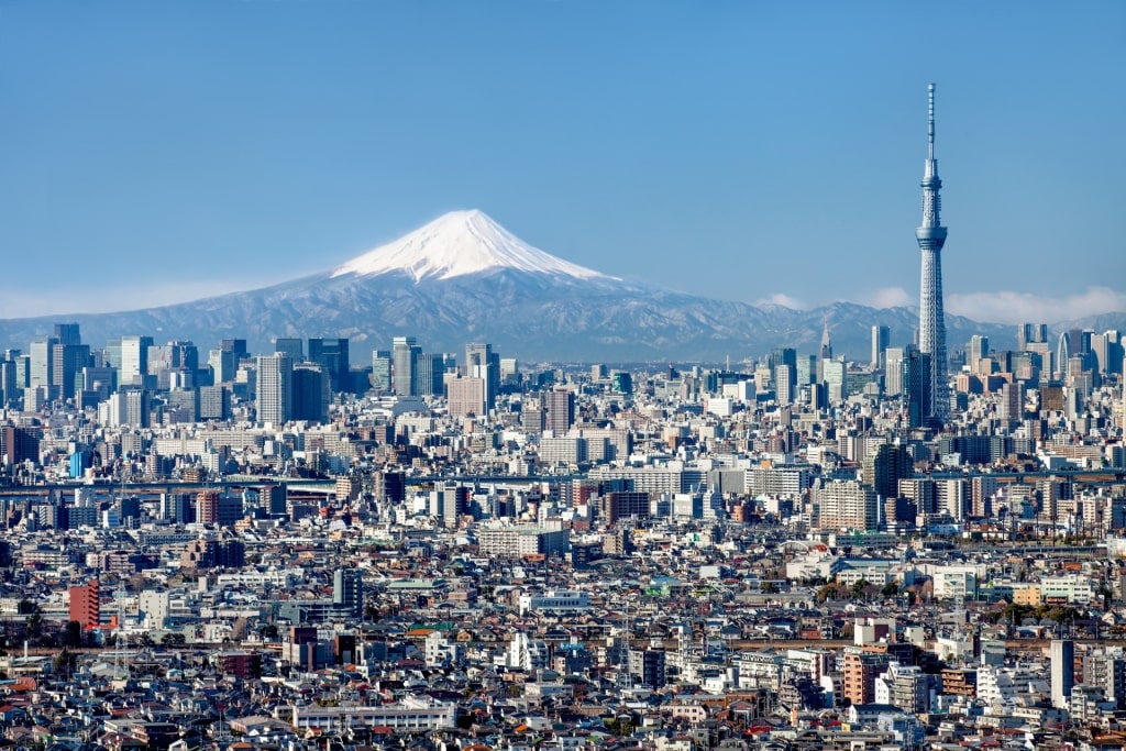 Beautiful skyline of Tokyo with Skytree