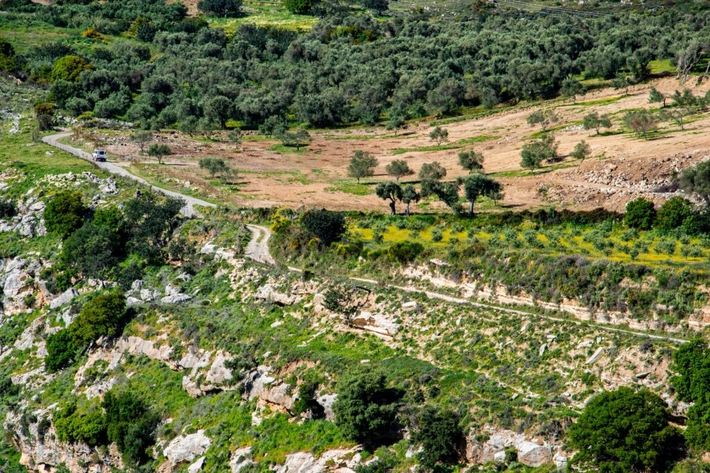 Lush landscape of the White Mountains