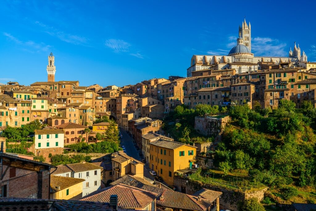 Quaint town of Siena