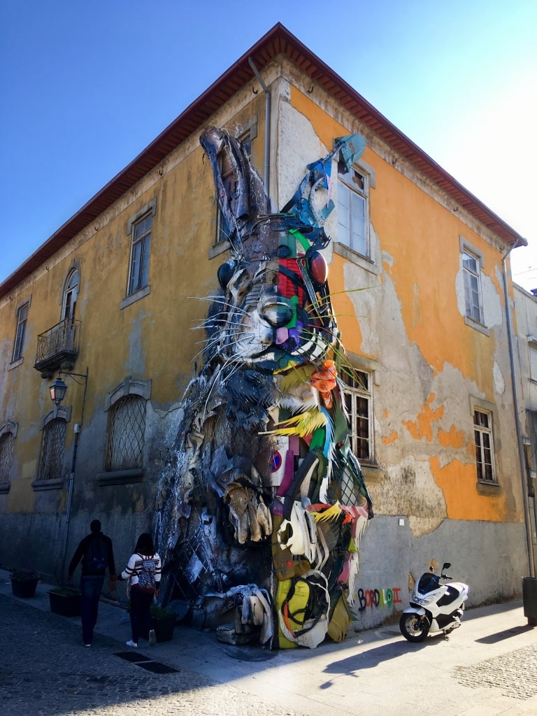 Half Rabbit in Porto, Portugal