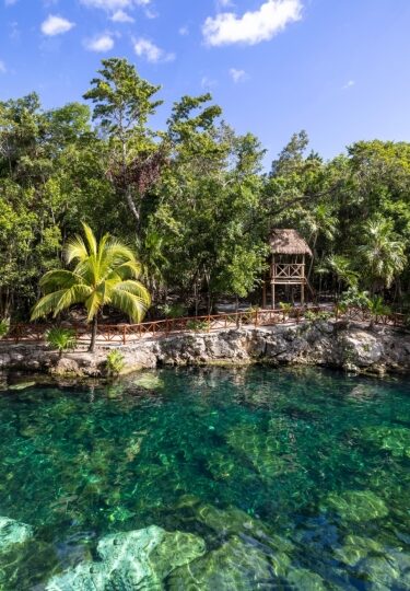 Casa Tortuga, one of the best cenotes near Cancun