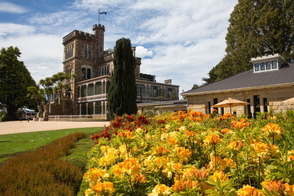 Flowers blooming outside Larnach Castle, Dunedin