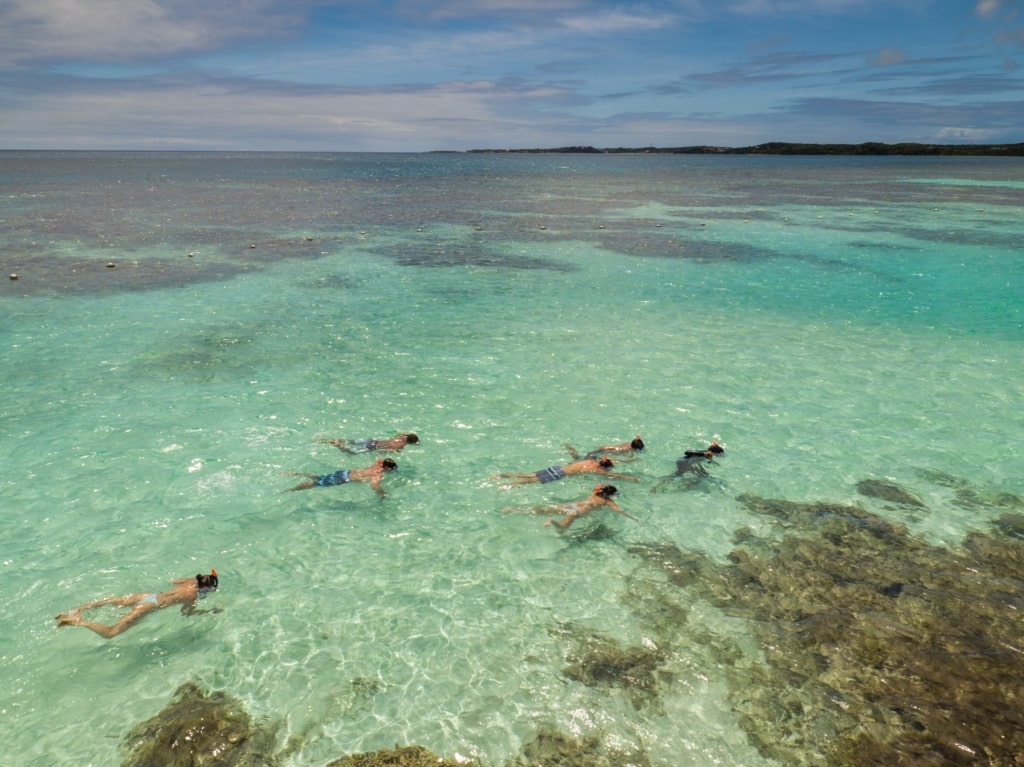People snorkeling in Stingray City, Antigua