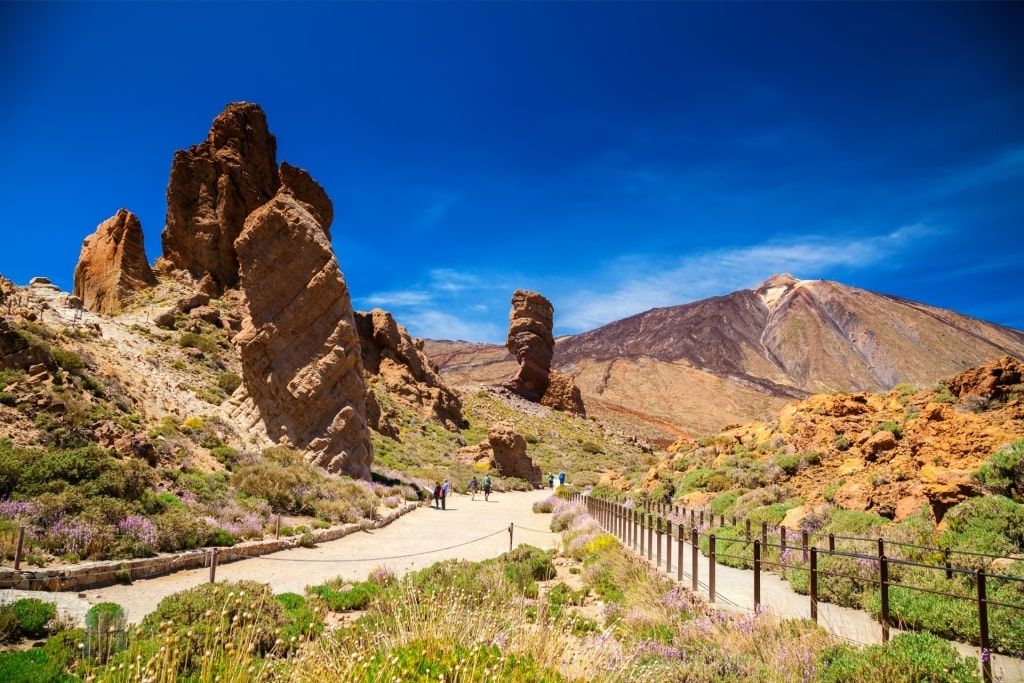 Volcanic landscape of Teide National Park in Canary Islands, Spain