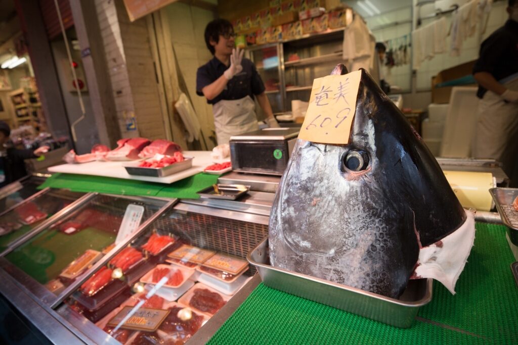 Fresh seafood at Tsukiji Outer Market