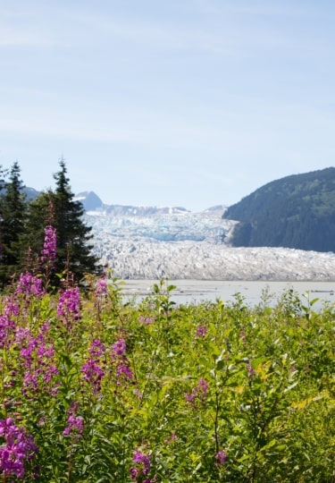 Alaska in May - Mendenhall