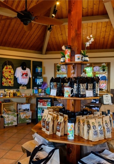 Souvenirs from Hawaii