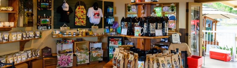 Souvenirs from Hawaii