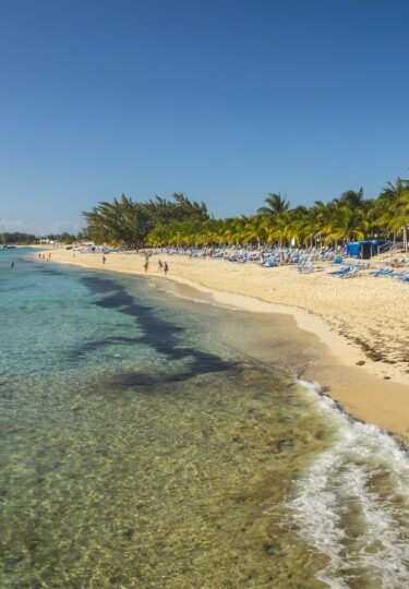 Snorkeling in turks and caicos - Sunray Beach