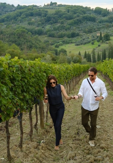 Italy in September - Vineyard in Tuscany