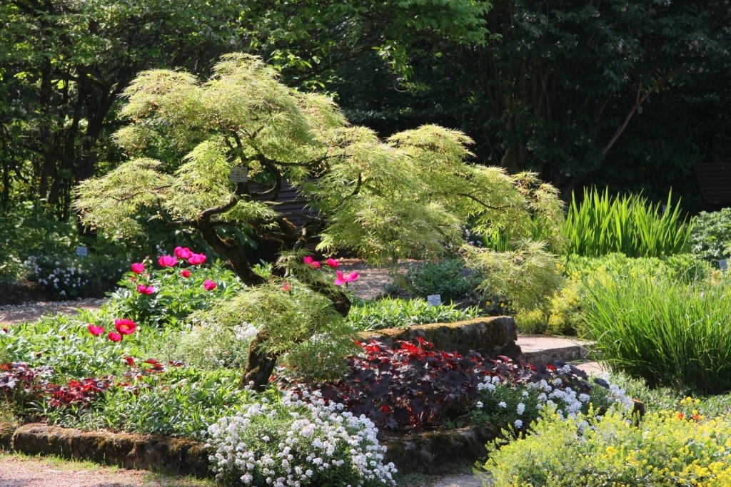 Lush landscape of Linz Botanical Garden