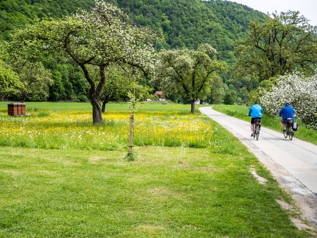 People biking along the Danube Cycle Path