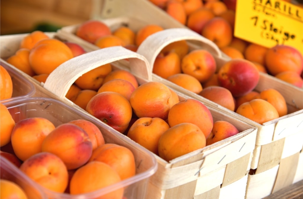 Apricots at a market in Vienna