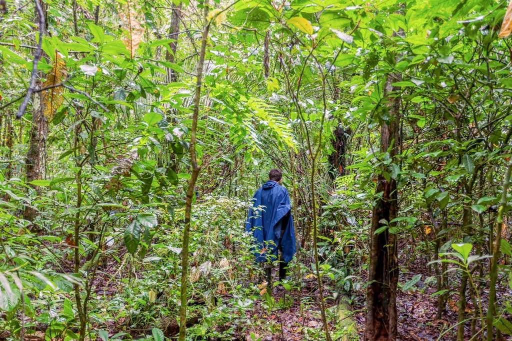 Man wearing blue rain poncho