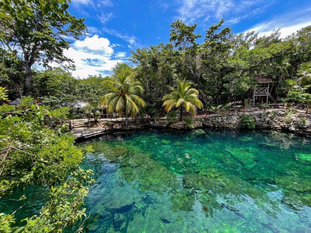 Clear waters of Casa Tortuga Cenotes, near Cancun