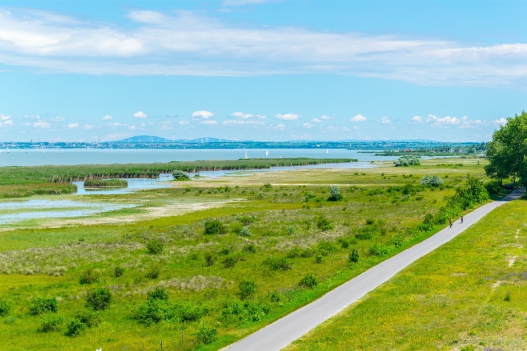 Lush landscape with view of Lake Neusiedel
