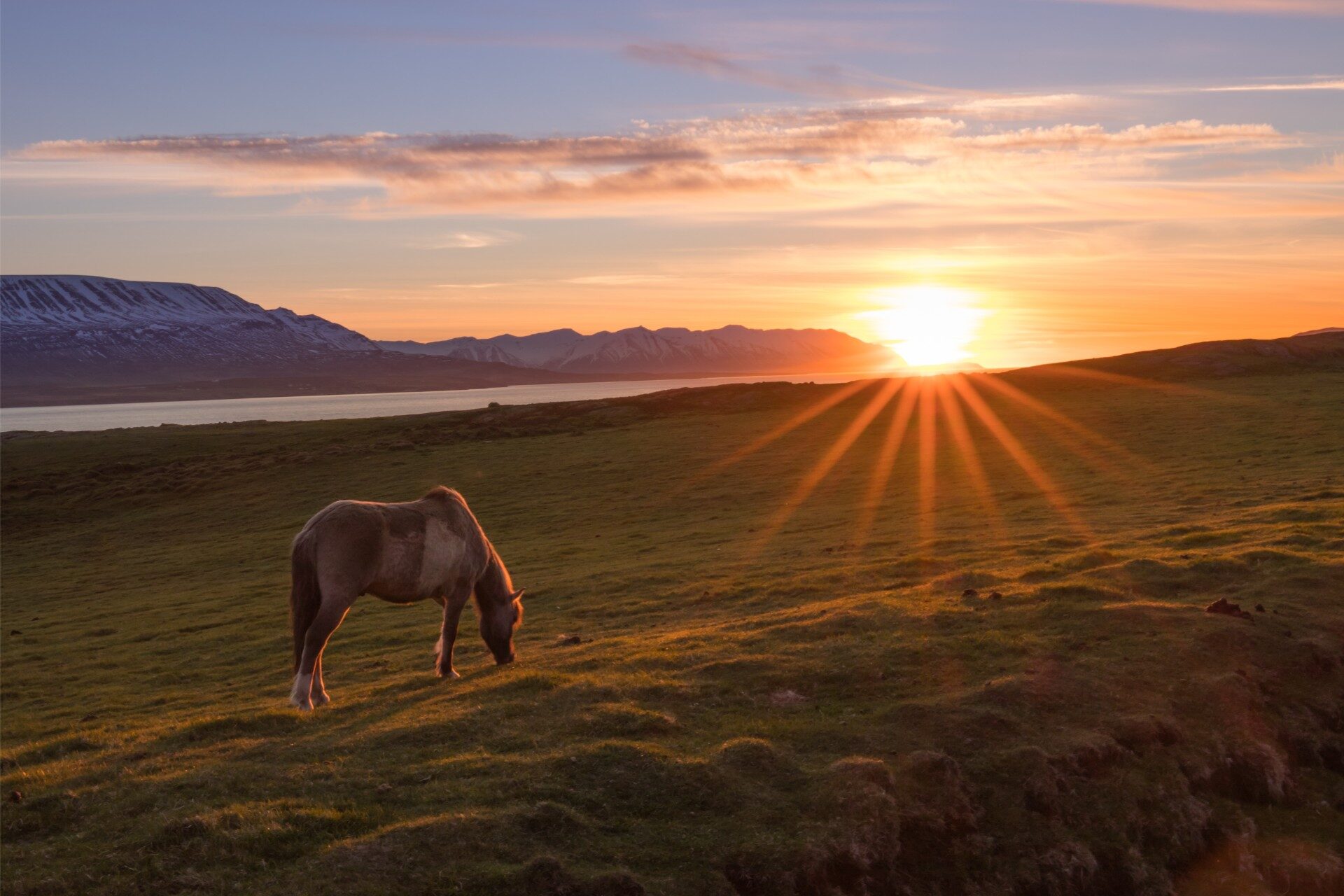 Midnight Sun in Iceland: Everything You Need to Know | Celebrity
