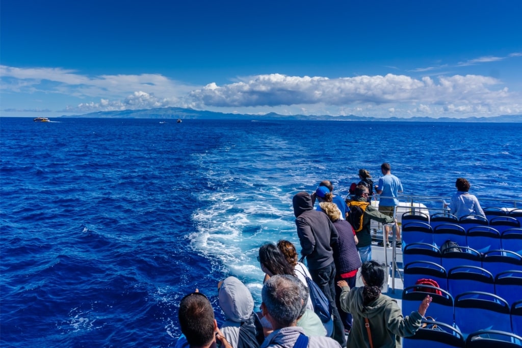 People on a whale watching tour in the Azores