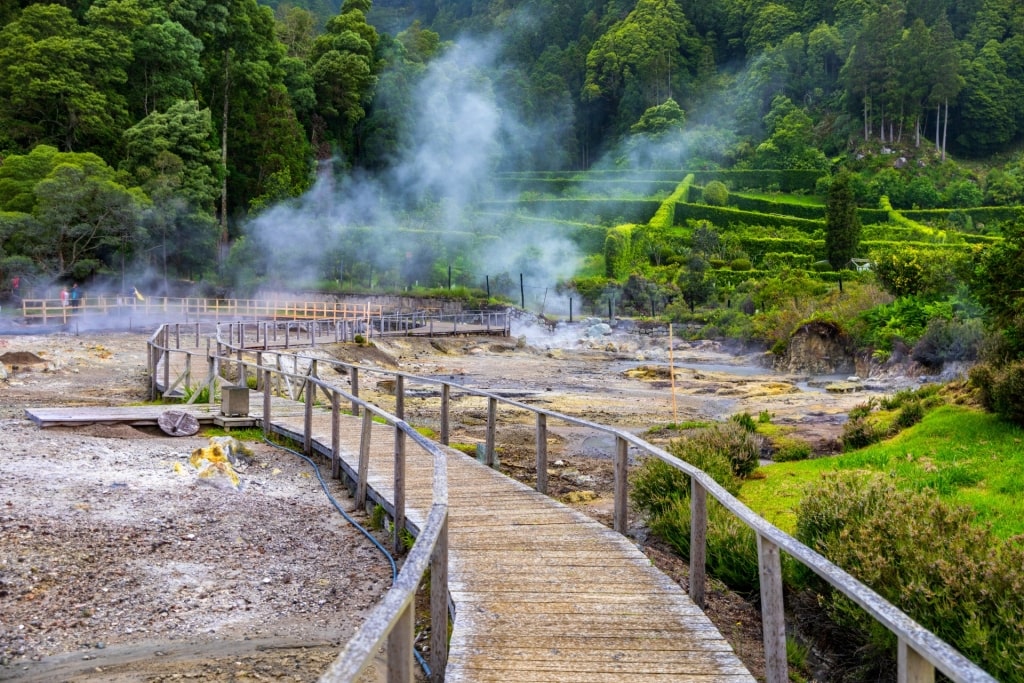 Lush greenery in Furnas Lake