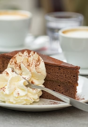Slice of traditional Austrian Sachertorte