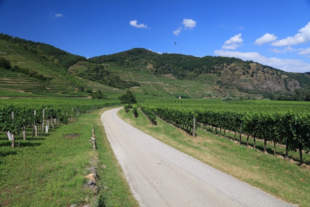Danube Cycle Path in Austria
