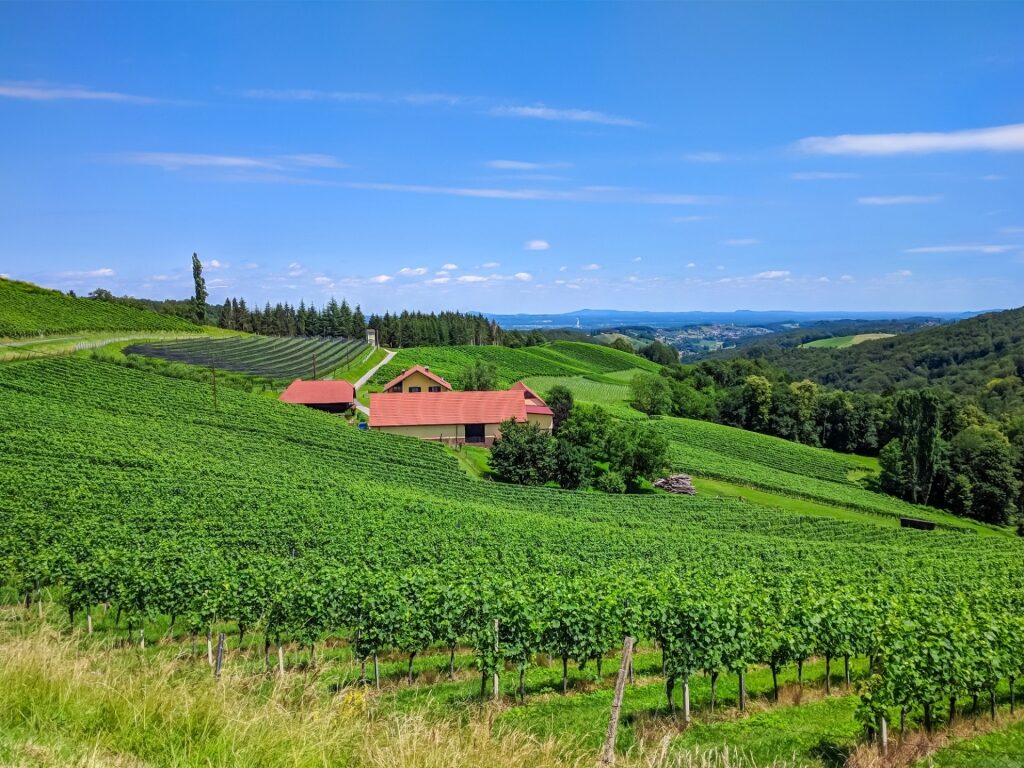 Lush greenery in Steiermark region