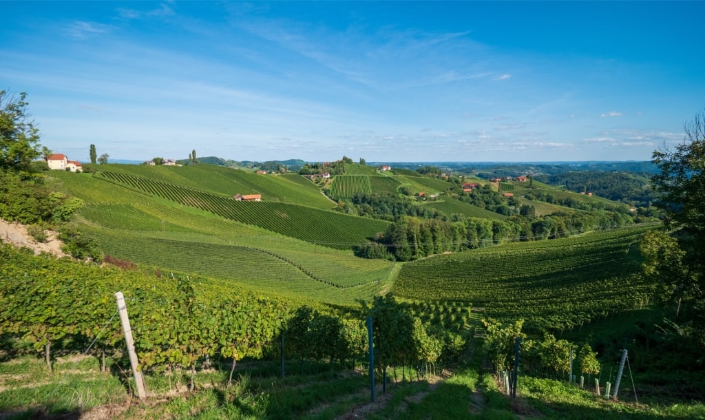 Lush hills of Steiermark