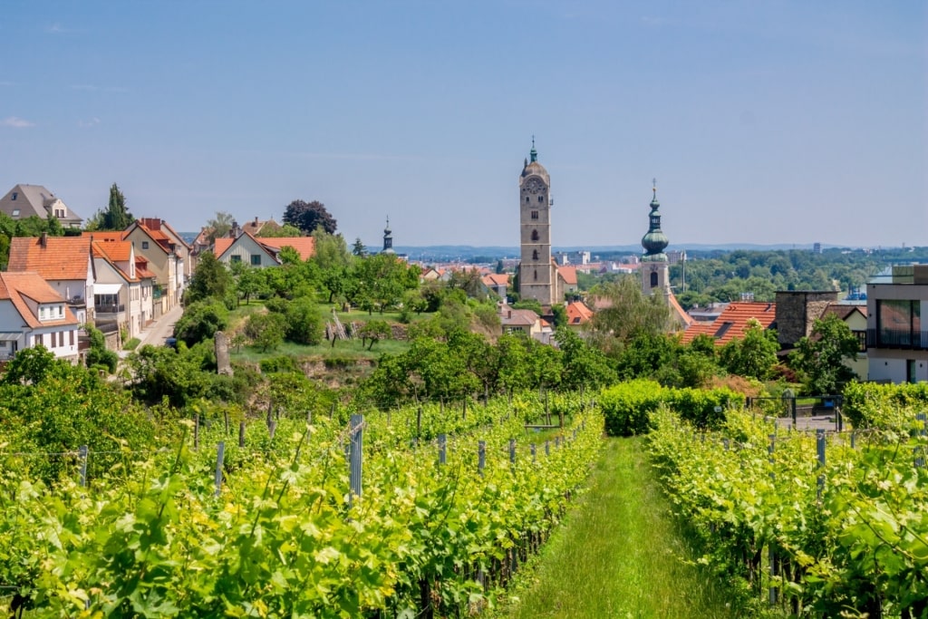 Lush landscape of Wachau Valley