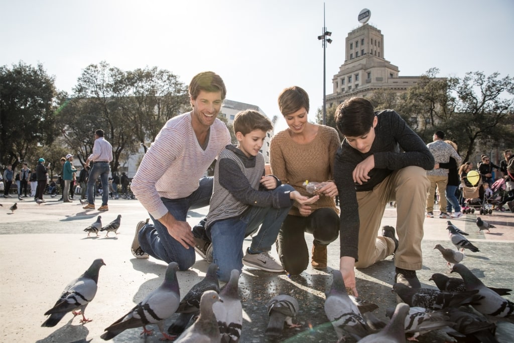 Family feeding pigeons from Plaça de Catalunya