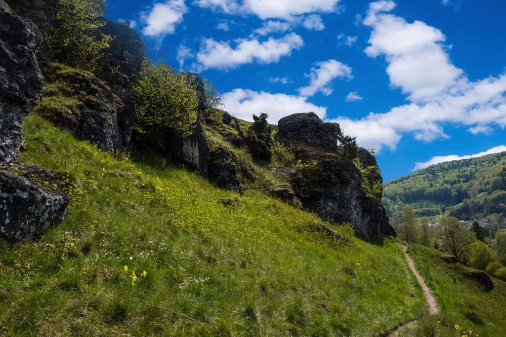 Lush landscape of Altmühltal Nature Park