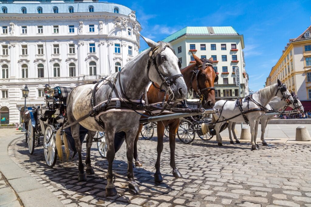 Horse-drawn carriage transporting visitors in Vienna