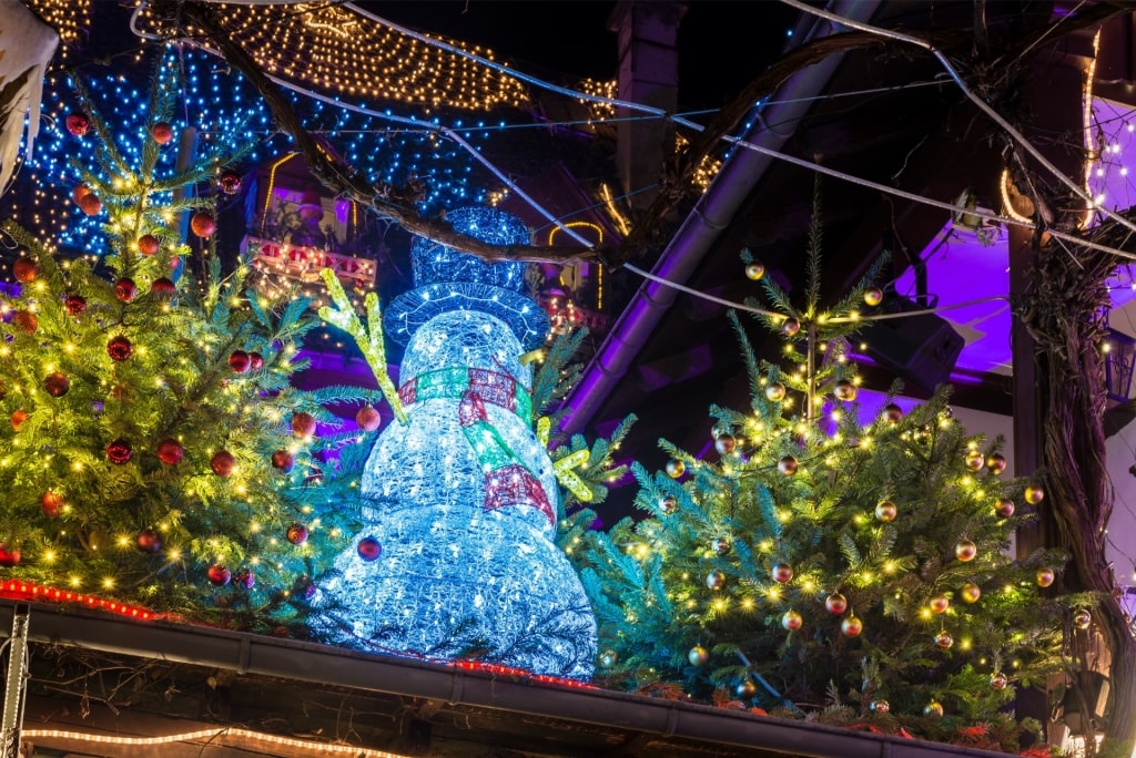 Festive lighted snowman on shed surrounded by Christmas trees