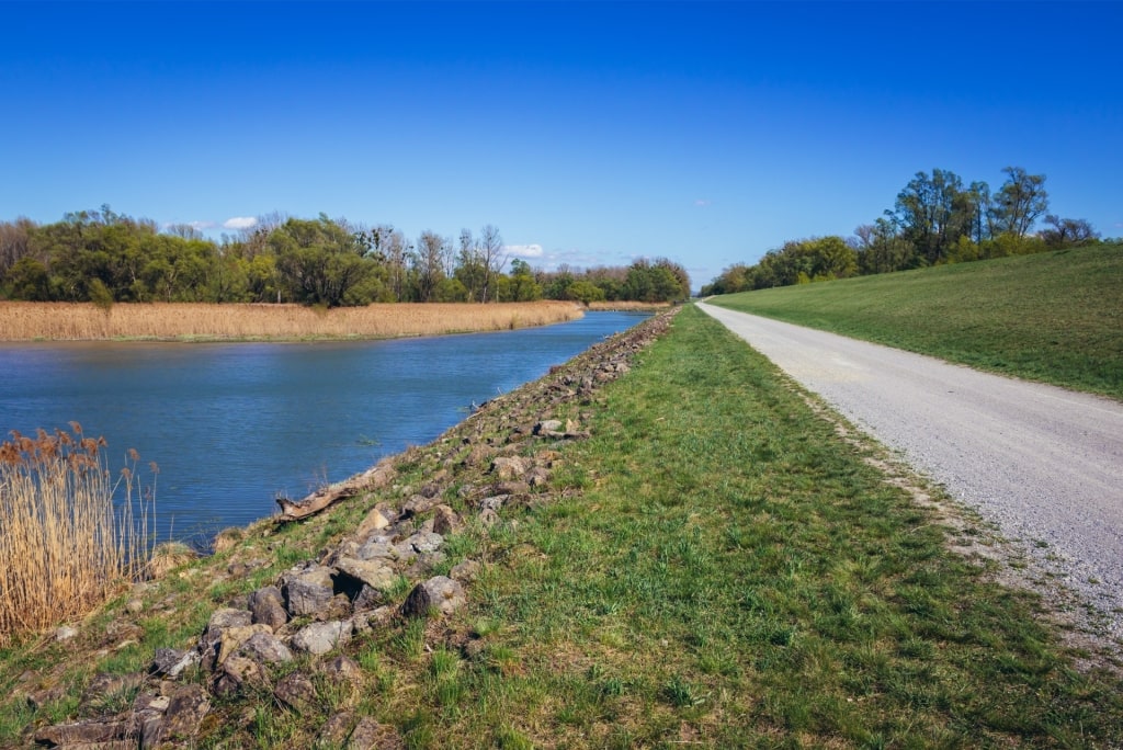 Quiet day at Donau-Auen National Park