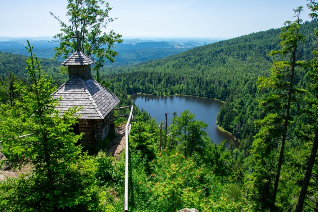 Lush landscape of Bavarian Forest National Park