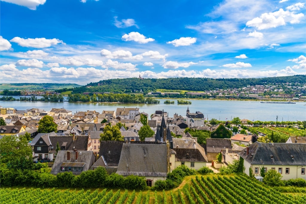 Aerial view of Rüdesheim am Rhein with vineyards
