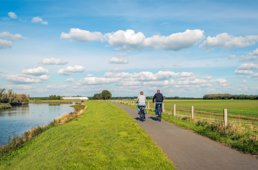 People biking in Biesbosch National Park