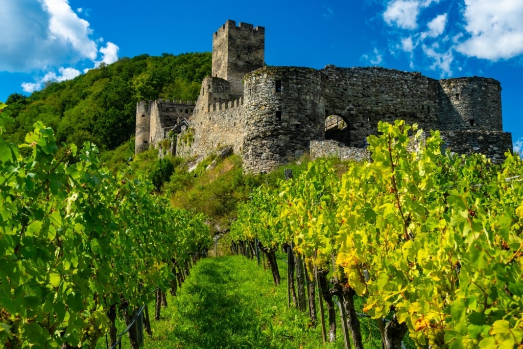 Scenic view of Hinterhaus Castle surrounded by lush vineyards in Austria