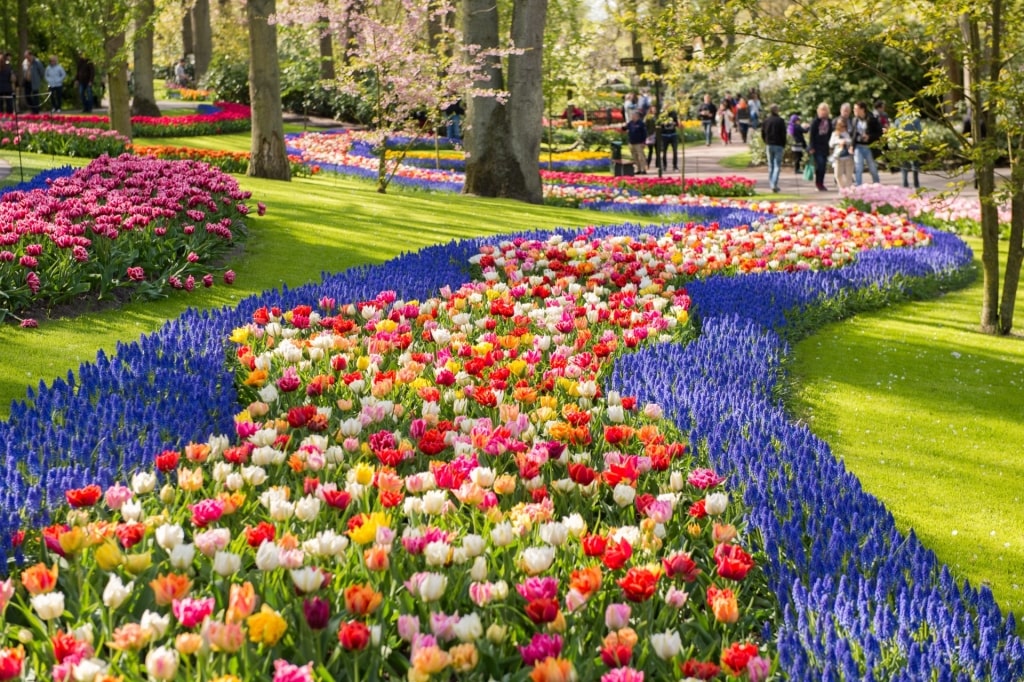 Pretty spring landscape from Keukenhof