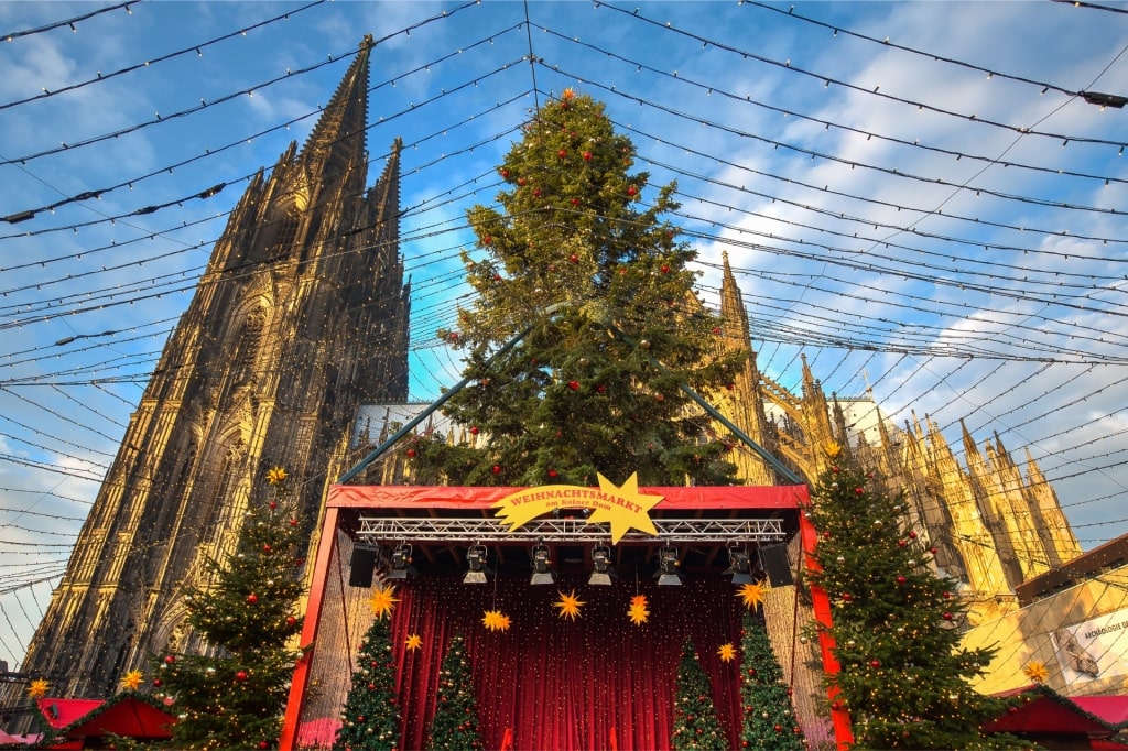Christmas tree at the Christmas Market at Cologne Cathedral