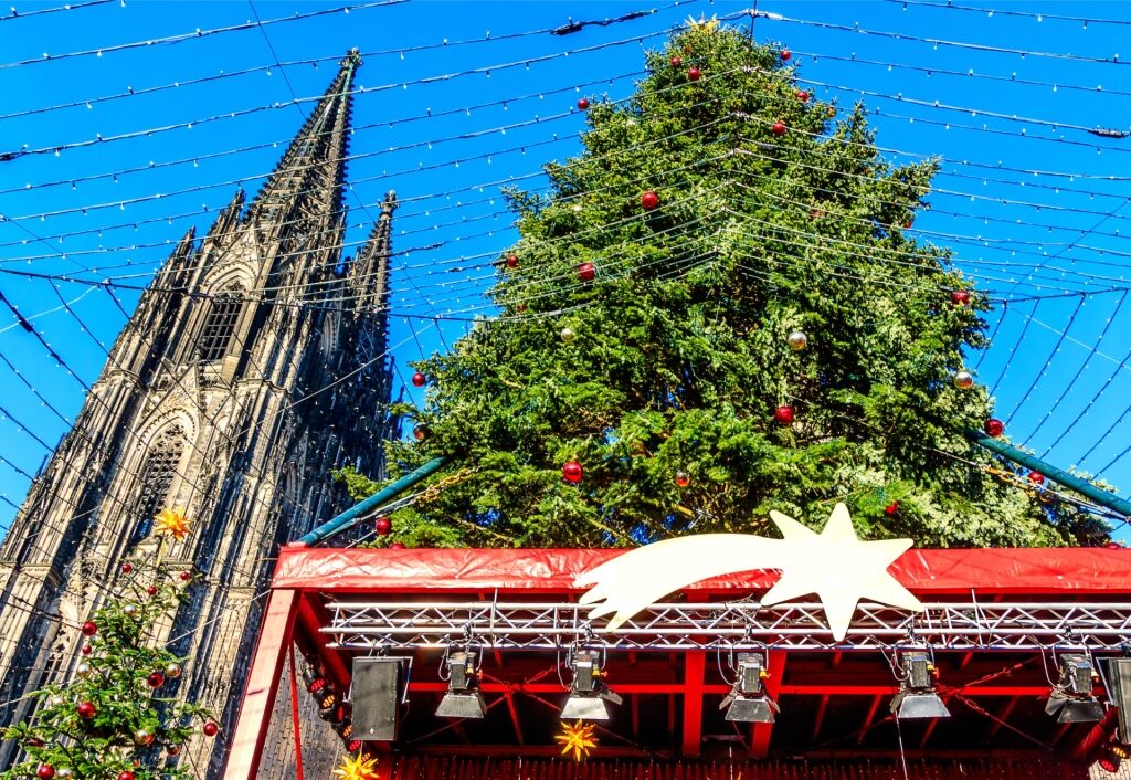 View of the Christmas tree from Christmas Market at Cologne Cathedral