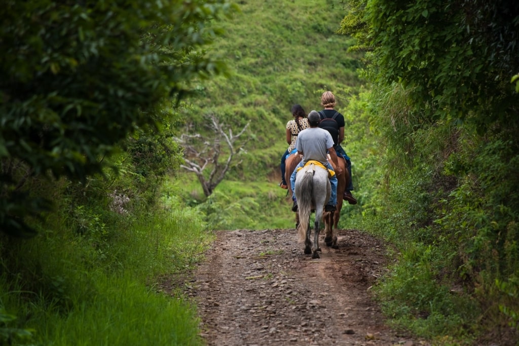 People exploring Monteverde Cloud Forest