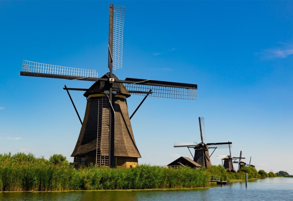 Windmills lined up in Kinderdijk