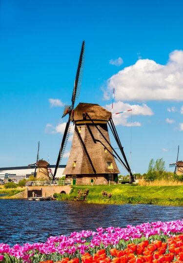 Dutch windmills - Kinderdijk