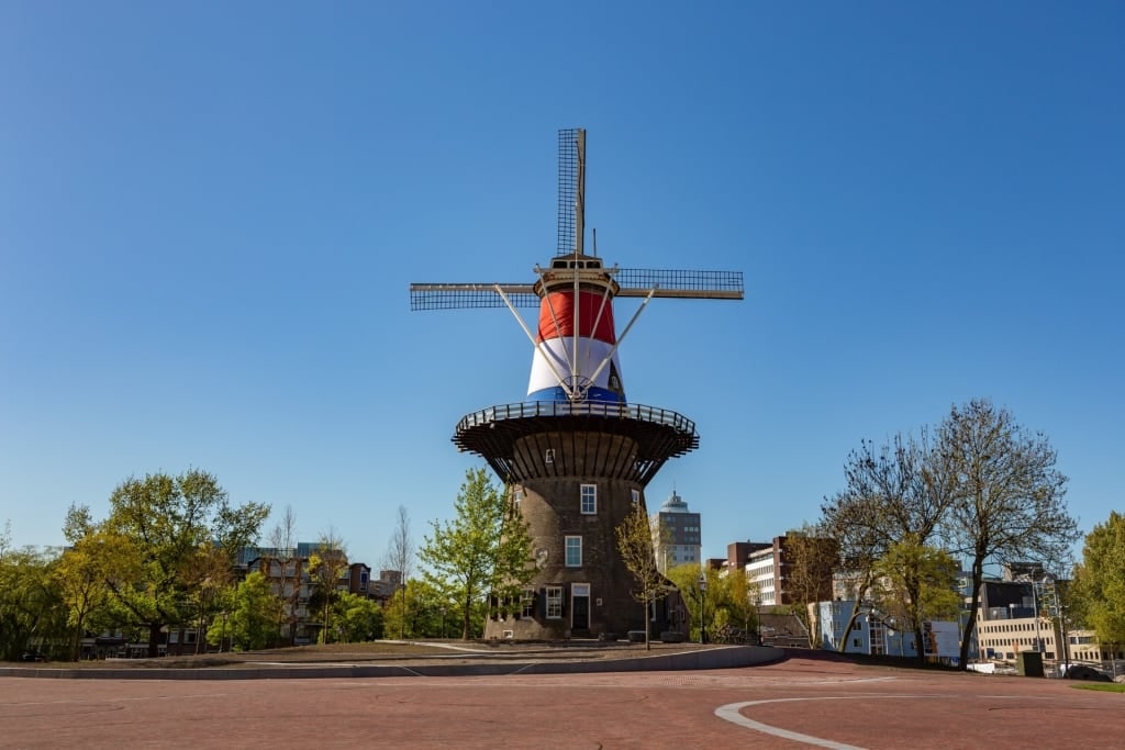 Street view of Molen De Valk