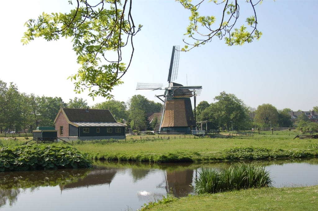 Lush landscape of Molen De Vlieger
