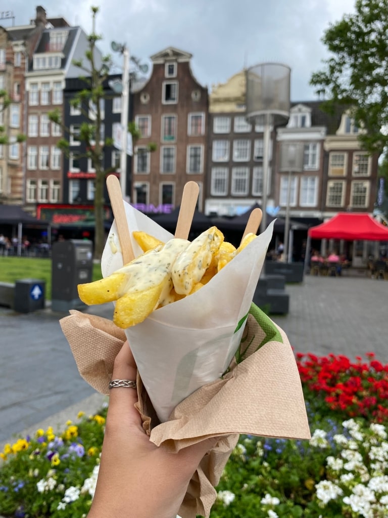 Crispy fries with Knoflooksaus in Amsterdam