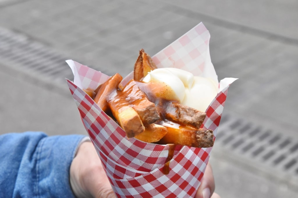 Street food fries in Amsterdam