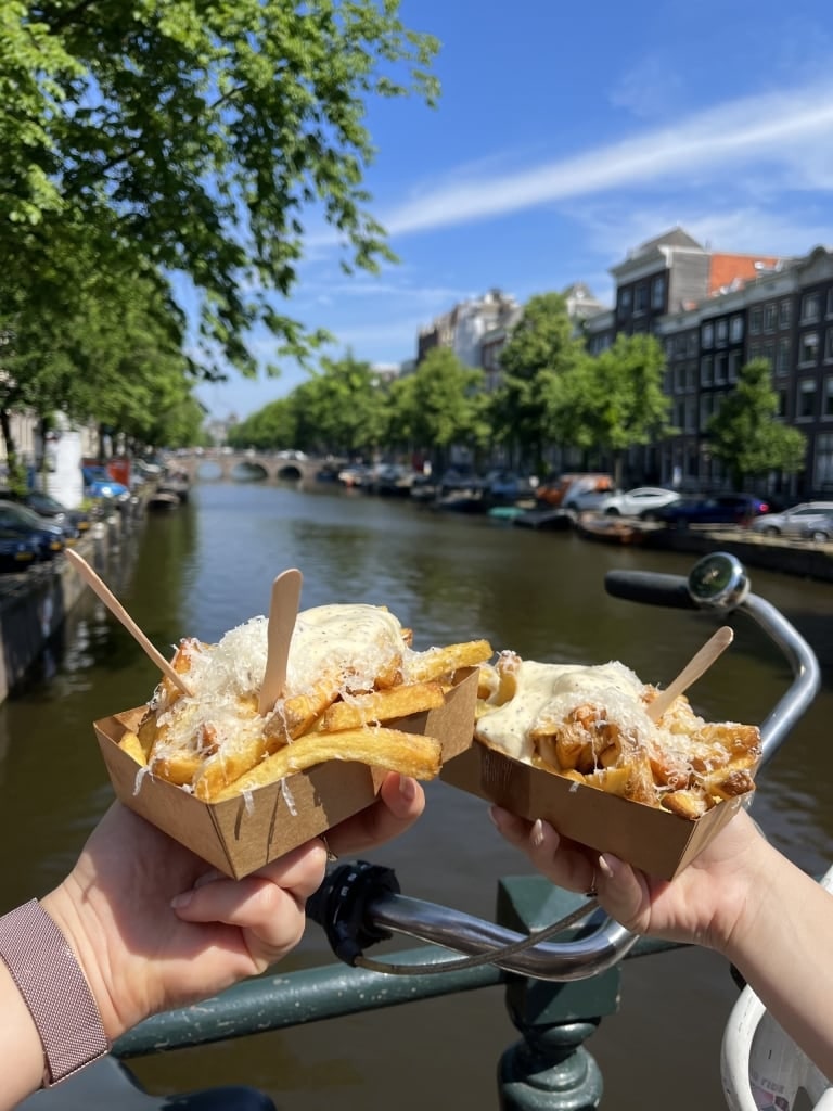 Famous Dutch fries from FabelFriet in Amsterdam