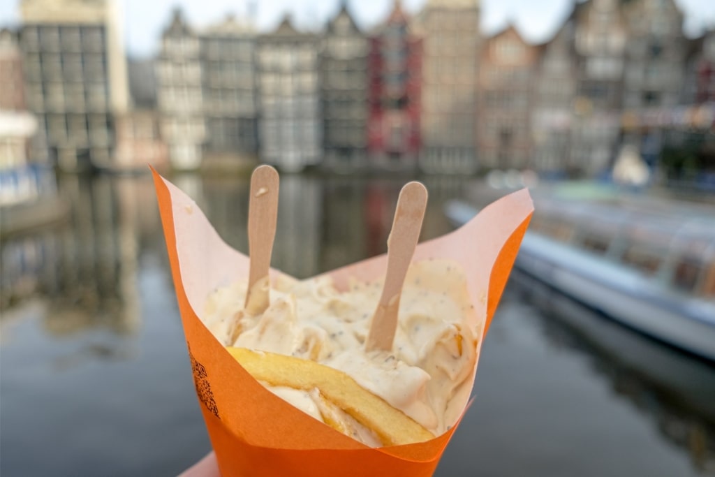 Famous Dutch fries from Vlaamse Frites in Amsterdam